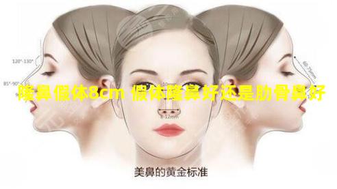 隆鼻假体8cm 假体隆鼻好还是肋骨鼻好